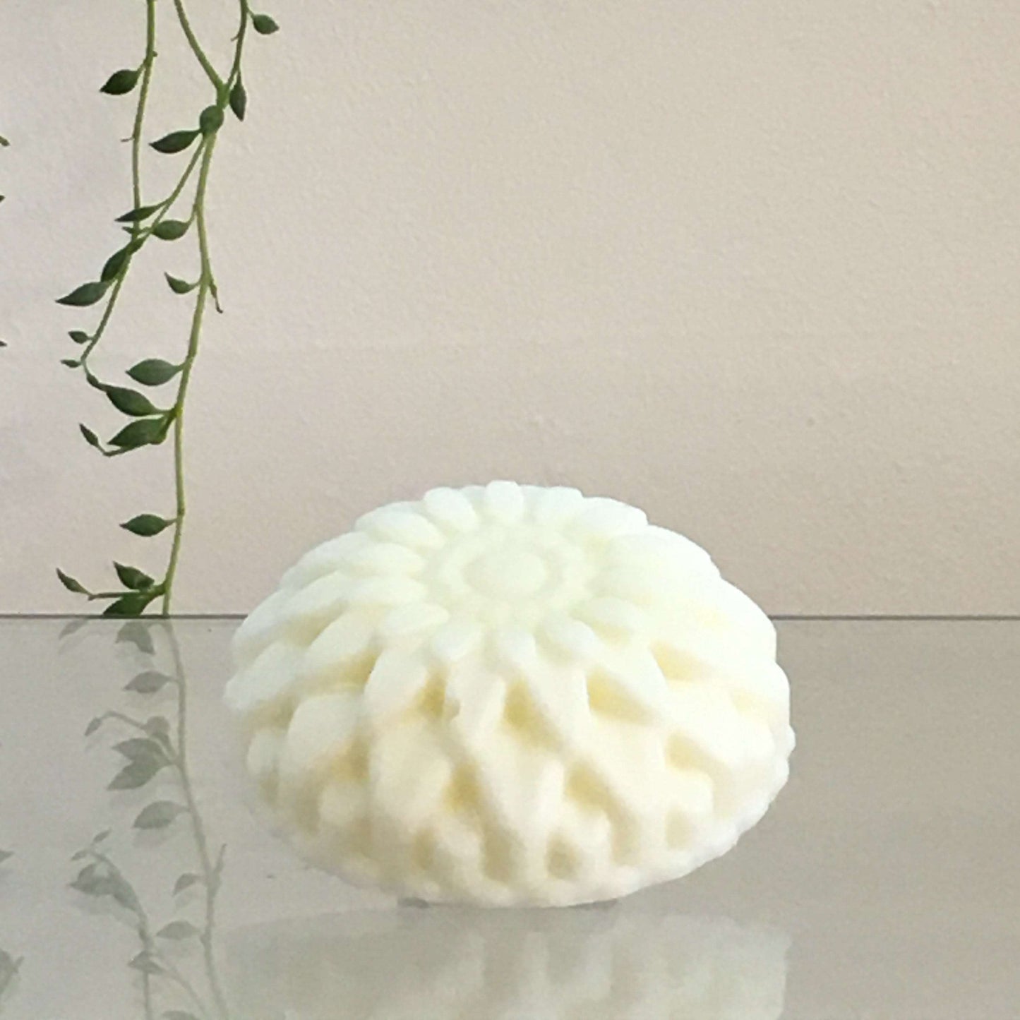 Vegan_Solid_Conditioner_Bar_Peppermint_No_Waste