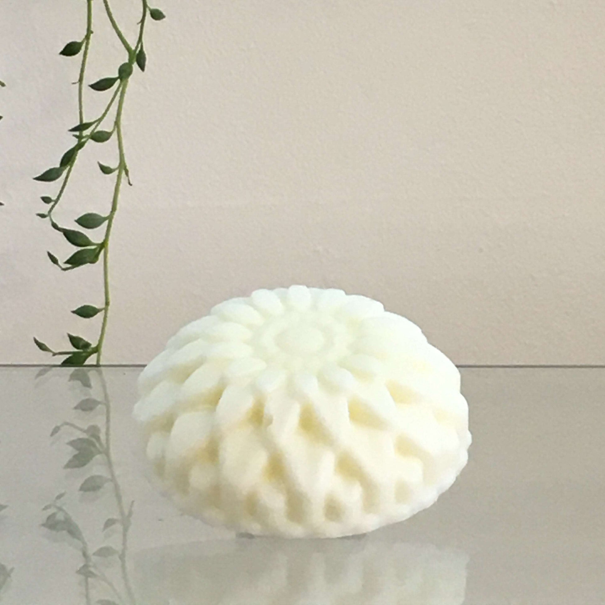 Vegan_Solid_Conditioner_Bar_Tea_Tree_and_Thyme_No_Waste