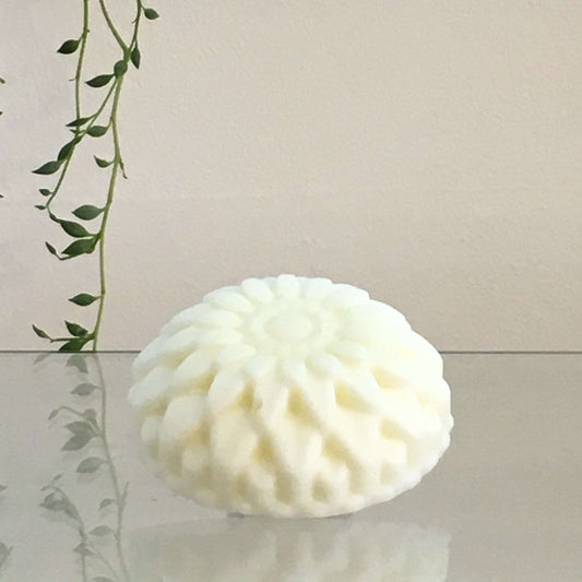 Vegan_Solid_Conditioner_Bar_Tea_Tree_and_Thyme_No_Waste