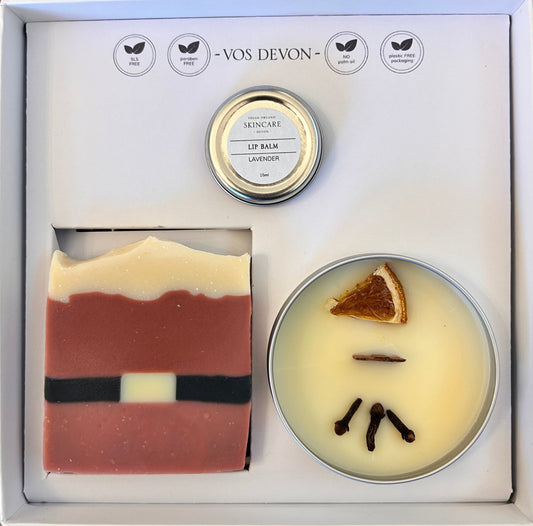 Sweet Orange & Cinnamon Leaf Santa Detail