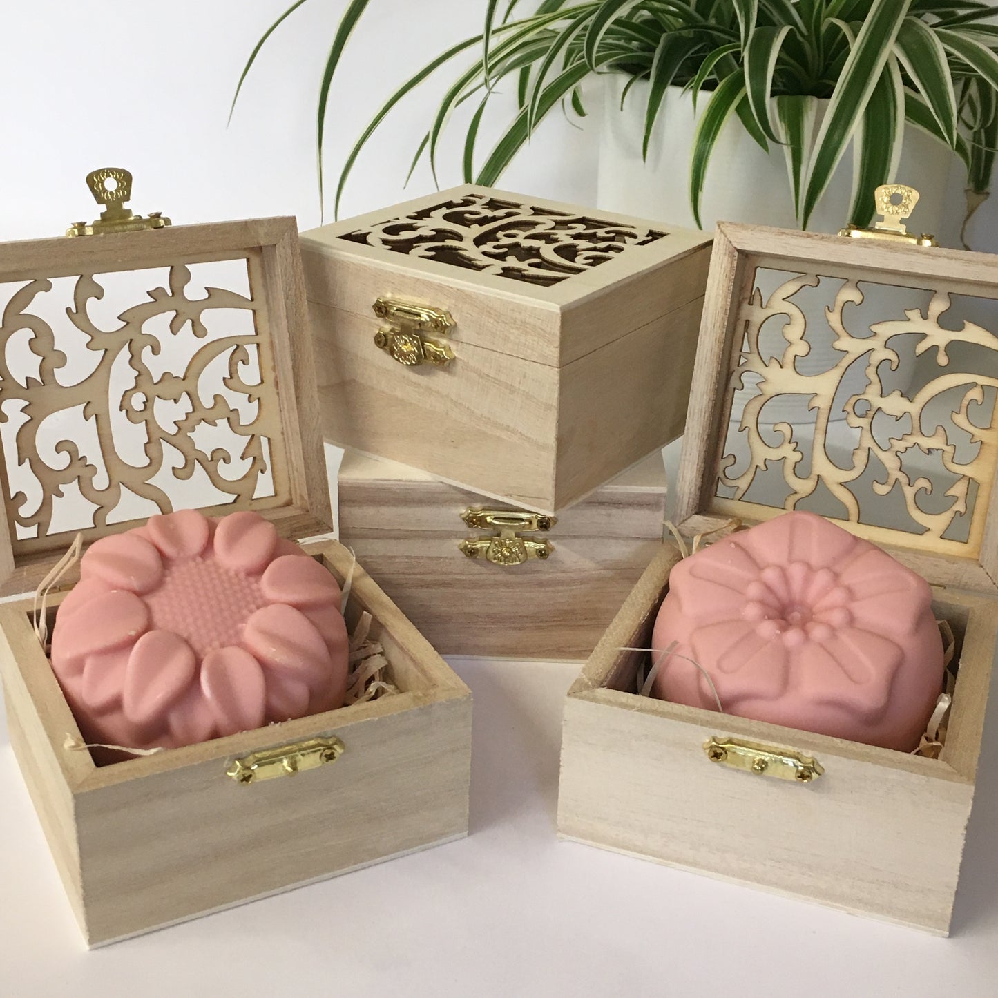 Pine Needle, Cedarwood & Lemongrass Soap in Ornate Wooden Box